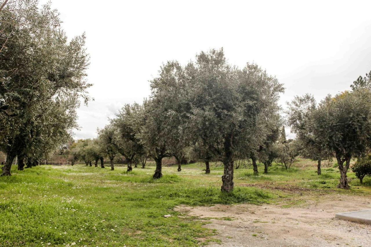 Quinta Chao Do Nabal Pensionat Belmonte  Exteriör bild